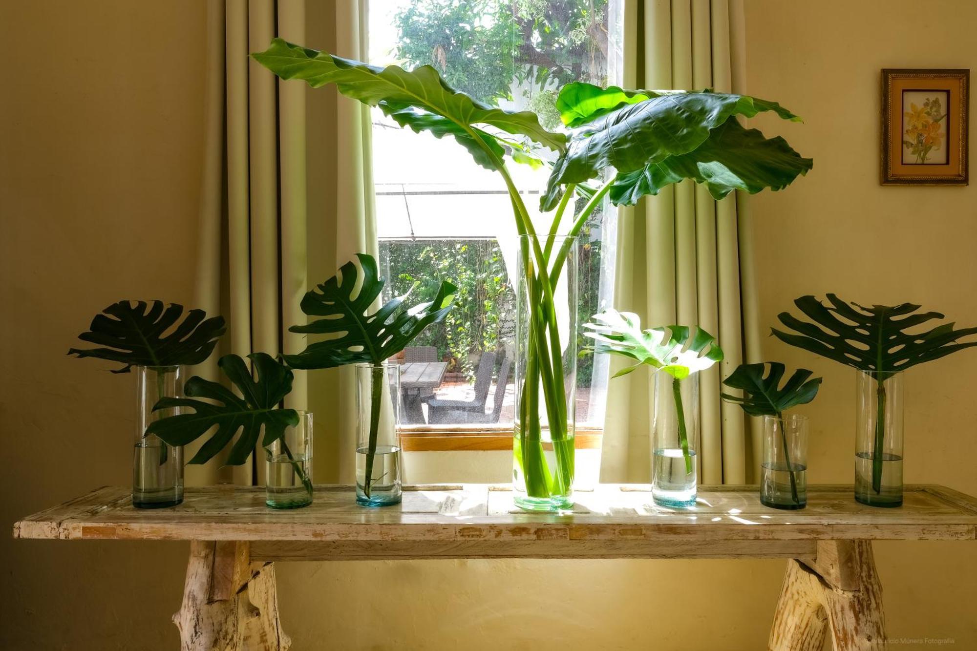 Casa Bustamante Hotel Boutique Cartagena 외부 사진